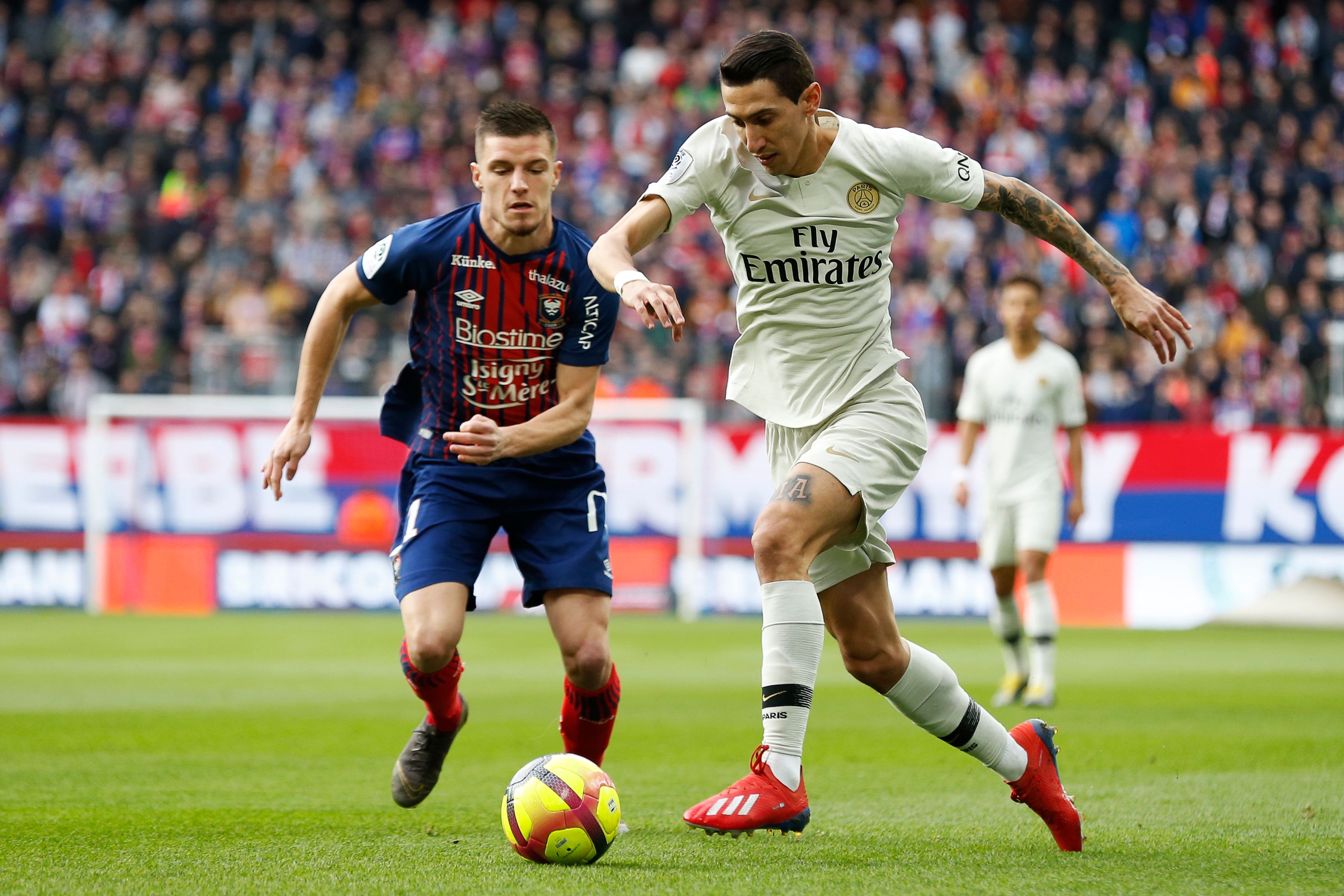 在赞助与合 在赞助与合